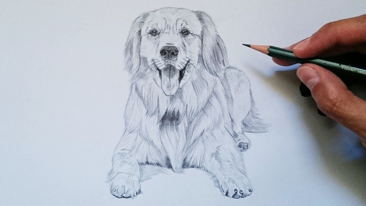 Featured image of post Animales Dibujos Realistas Para Dibujar c mo dibujar animales realistas c mo dibujar pelaje de animales c mo dibujar animales f cil y r pido c mo dibujar mascotas dibujos para ni os c mo utilizar el quieres aprender a dibujar animales realistas como un experto profesional