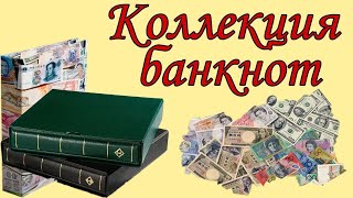 Моя коллекция банкнот мира за 3 года