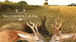 Three sucessful deer/roebuck hunta | impressive kill shots | hunting film | ep # 27