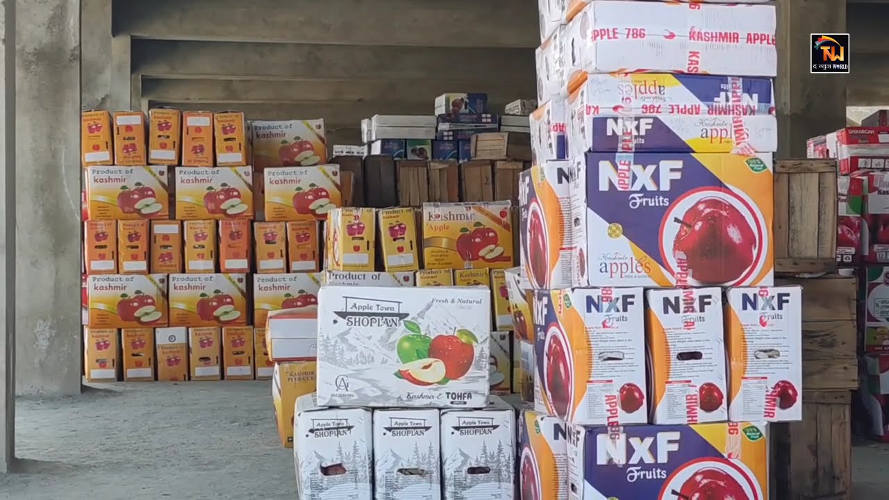 Kashmir Apple Crisis: 17 Days of NH-44 Blockade | ₹700 Crore Losses & Farmers Helpless