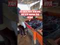 Ikan kok warna nya hitam #shortvideo #short #short #trending #trendingshorts #fyp #viral #virals