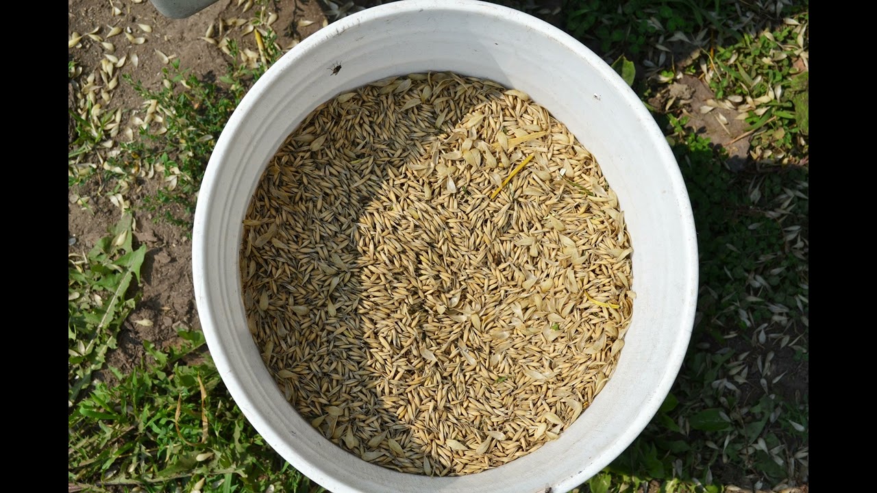 Ear to the Ground 392: Diversity’s Diet