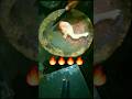 चिकन लेग पीस कटिंग#shorts #chicken #viralvideo