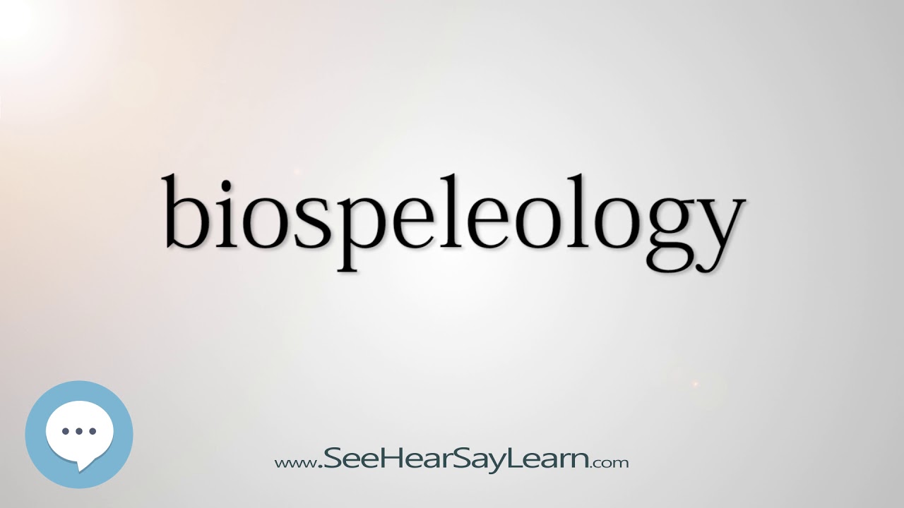 biospeleology