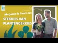 Intratuin  stekkies van plantengekkies  marjolein en geartjan