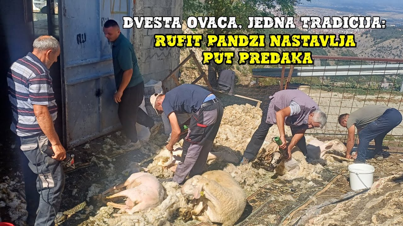 Dvesta ovaca, jedna tradicija: Rufit Pandži nastavlja put predaka