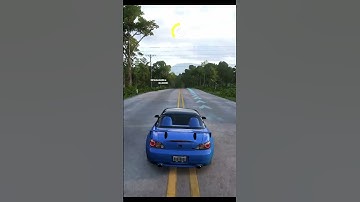 Forza Horizon 5 AMD graphics glitches