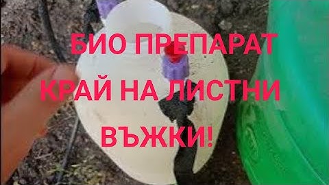 Само с две съставки ще се отървете от Листните въжки | Биологичен Препарат за унищожаване на  въжки