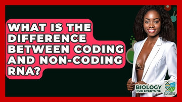 What Is The Difference Between Coding And Non-coding RNA? - Biology For Everyone