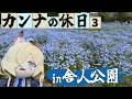 【ブルアカ】カンナきょくちょーの休日#3 ~舎人公園とネモフィラ編~