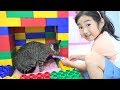 Boram Color Brick Block Cat House