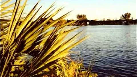 Joyce - Live at the Mojo Club (1995) [Full Length ...