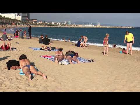 Video: How To Sunbathe In The Southern Sun