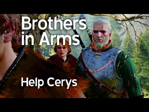 ვიდეო: Witcher 3: როგორ უნდა დასრულდეს Brothers In Arms ქვესტი?