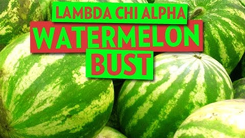 Lambda Chi Alpha - Watermelon Bust - Florida Tech