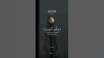 سوره الفتح آیه ۴ - آرامش در قلب 💖های مومنان || المنشاوی