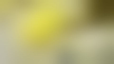 Snake Bytes TV - "Huge Snake Vs Rabbit"