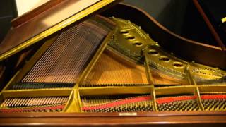 Steinway & Sons Model M Grand Piano For Sale Premium Steinway M Pianos