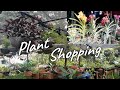 GO HOUSEPLANT SHOPPING WITH ME! || INDOOR-OUTDOOR PLANT SHOPPING PHILIPPINES