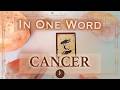 CANCER In One Word ✨ Tarot & Oracle Readings ✨ TIMELESS Intuitive Messages