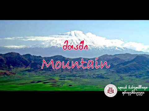 ნინო მულაძე - ილიაუნი