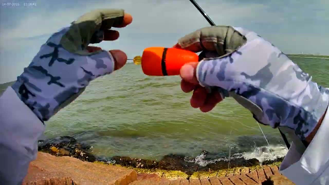 Speckle Trout fishing catch & cook #2