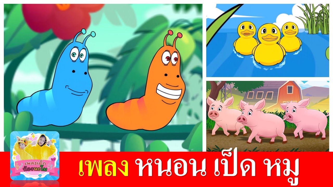 เพลงเด็กอนุบาล หนอน เป็ด หมู | หนอนผีเสื้อ | เป็ดอาบน้ำในคลอง | หมูอู๊ดอู๊ด