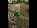 Harvesting cotton in FS22! #farmingsimulator22