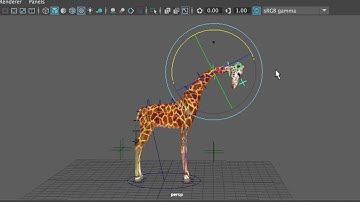 Giraffe Rig