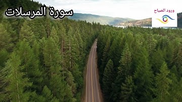 سورة المرسلات بصوت الشيخ هزاع البلوشي تلاوة هادئة