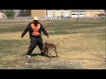 Defense of Handler Protection Dog Training with Puma