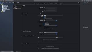 Xcode 11 / UIKit / no SwiftUI: Cleaning up after deleting SceneDelegate Update