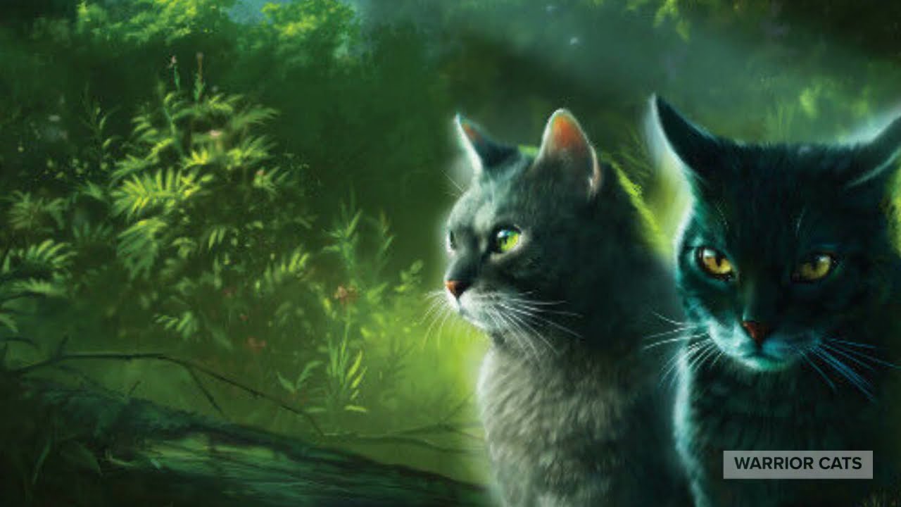 The BEST Warrior Cats Book Covers (And Posters) Warrior Cats