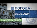 Прогноз погоди в Харкові та Харківській області на 31 січня