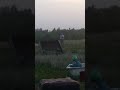 Танцор Диско вечно молодой