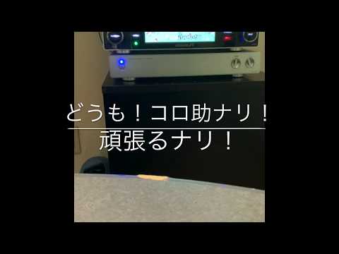 はじめてのチュウ　原曲キー　カラオケ