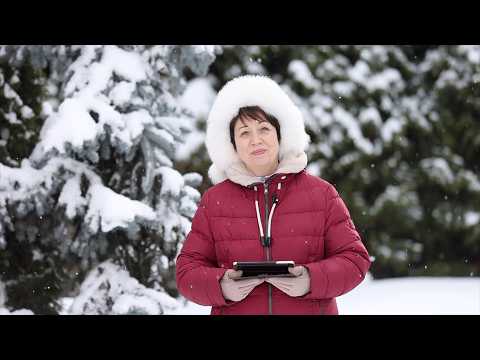 3815. Хлеб на каждый день. 8 марта. Притчи 14:1