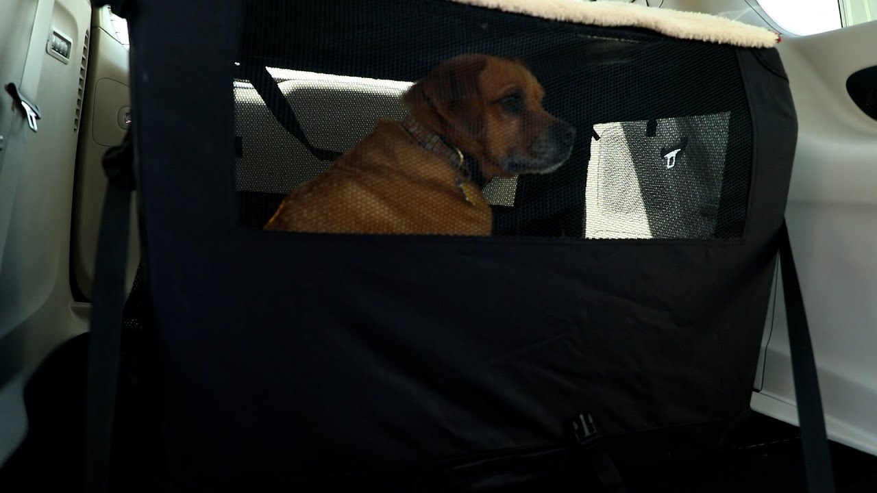 Petfriendly Features 2021 Chrysler Pacifica YouTube