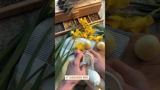 Pastel Easter Egg Soap | DIY Speckled Egg Bath Bombs | HOMEMADE JELLY SOAPS