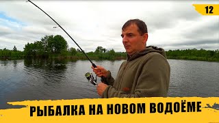 Рыбалка на новом водоеме. Сезон 2021