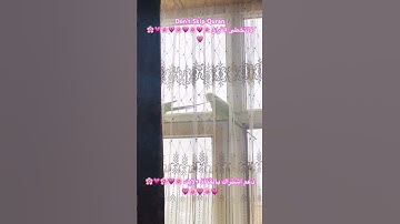 تلاوه عطره من الذكر الكريم #birds #cutebird #اكسبلور #cuteparrot #foryou #طيور