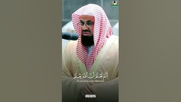 من روائع التلاوات: الشيخ/ سعود الشريم - ماتيسر من سورة الحج .