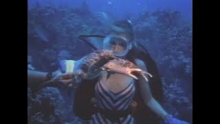 Clips Of Scuba Divers Diving In Coral Reefs 1980S