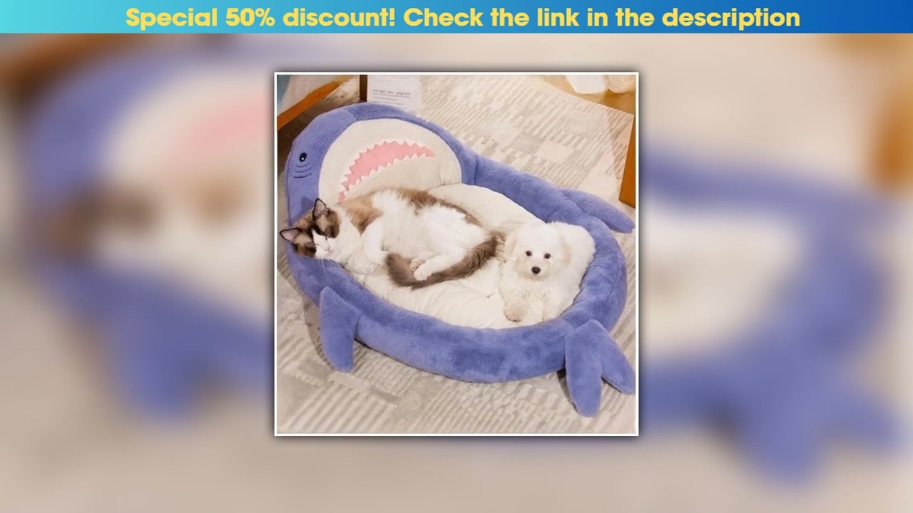 First Look Cartoon Shark Shape Pet Bed Large Size Cat Bed Dog Bed Kennel Comfortable Pet Sleeping M