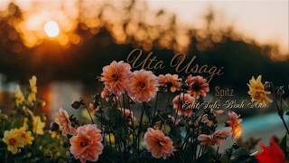 [VIETSUB LYRICS] SPITZ - 'UTA USAGI' |SENSEI OST|
