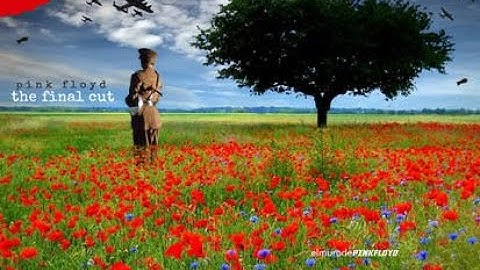 Pink Floyd - 