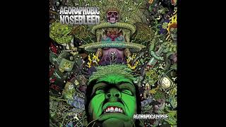 Watch Agoraphobic Nosebleed Excop video