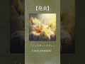 「イースター・リリー」7/30にリリースします。リリースまで後1週間！ #オリジナル曲 #作詞作曲 #早川蓮 #イースターリリー #newrelease