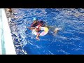 Indoor swimming Pool For kids|
