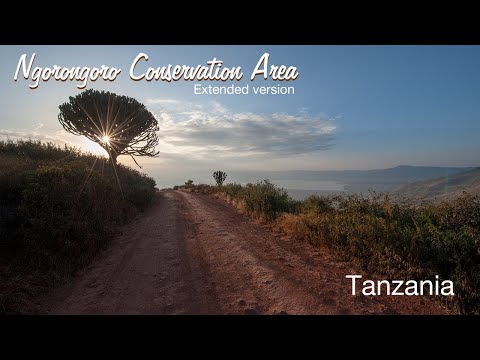 Video: Ngorongoro Conservation Area: de complete gids